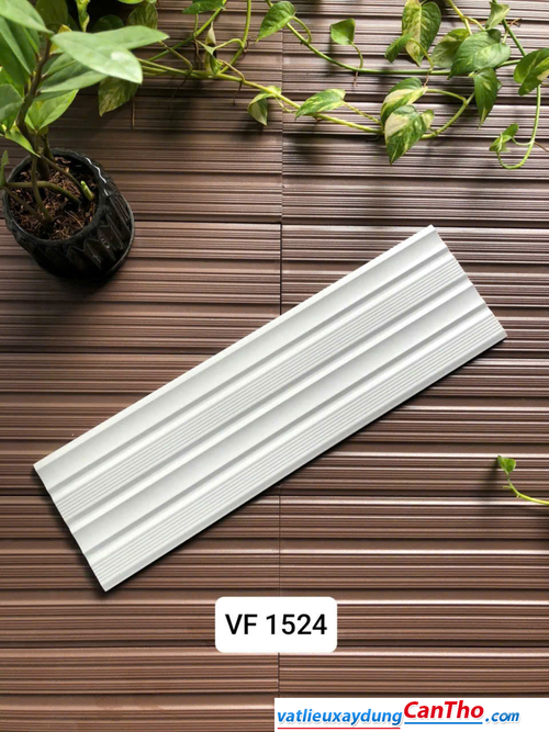 Việt Nhật VF 1524